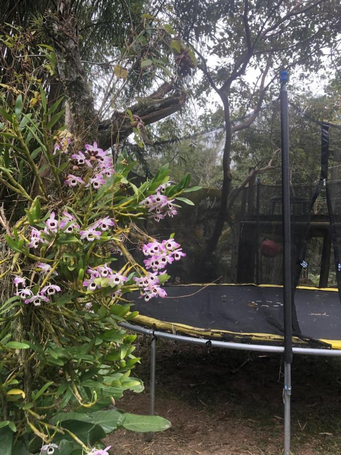 בארה די איביראקרה Pousada Paraiso Do Luz מראה חיצוני תמונה